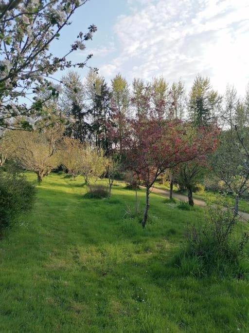 Chalet En Pleine Nature Au Bord D'Un Etang Lanvallay Екстериор снимка