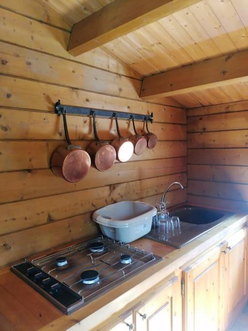 Chalet En Pleine Nature Au Bord D'Un Etang Lanvallay Екстериор снимка