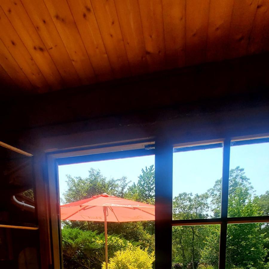 Chalet En Pleine Nature Au Bord D'Un Etang Lanvallay Екстериор снимка